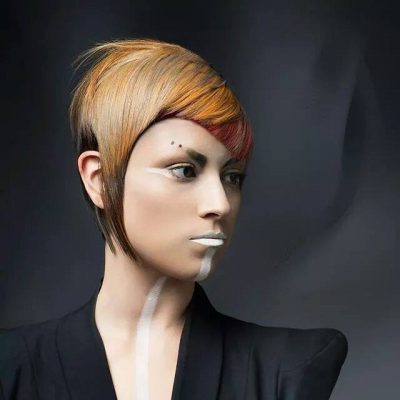 Hairbrained Q and A with Todd Da Silva