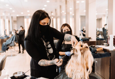 Questions to Ask When Comparing the Best Cosmetology Schools in California